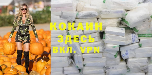 бошки Абаза