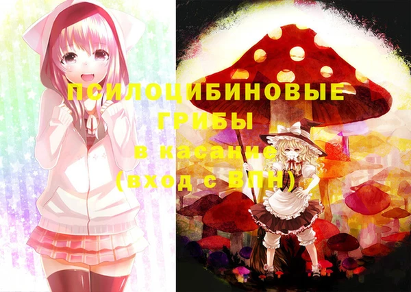 бошки Абаза