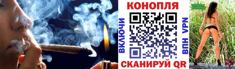 Бошки Шишки семена  купить наркотик  Холм 